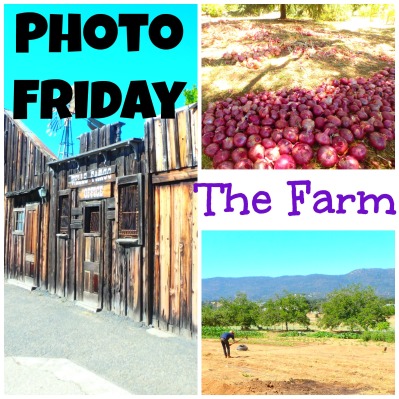 Photo Friday - The Farm.jpg
